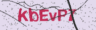 Güvenlik Kodu