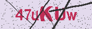 Güvenlik Kodu