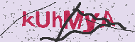 Güvenlik Kodu