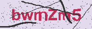 Güvenlik Kodu